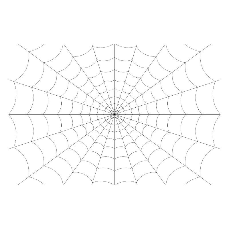 Spider web