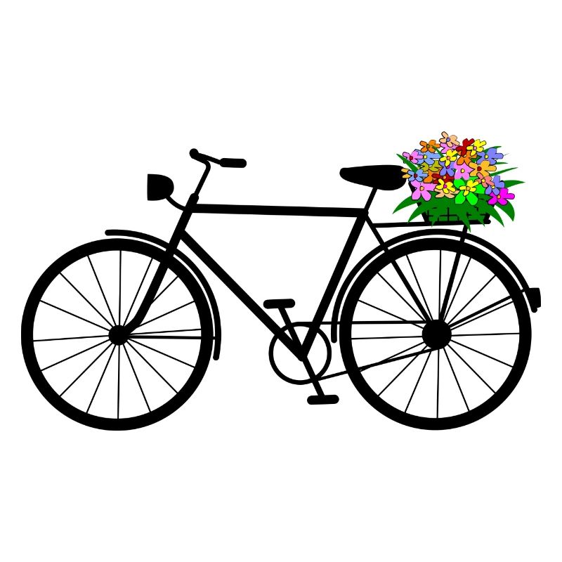 cycle