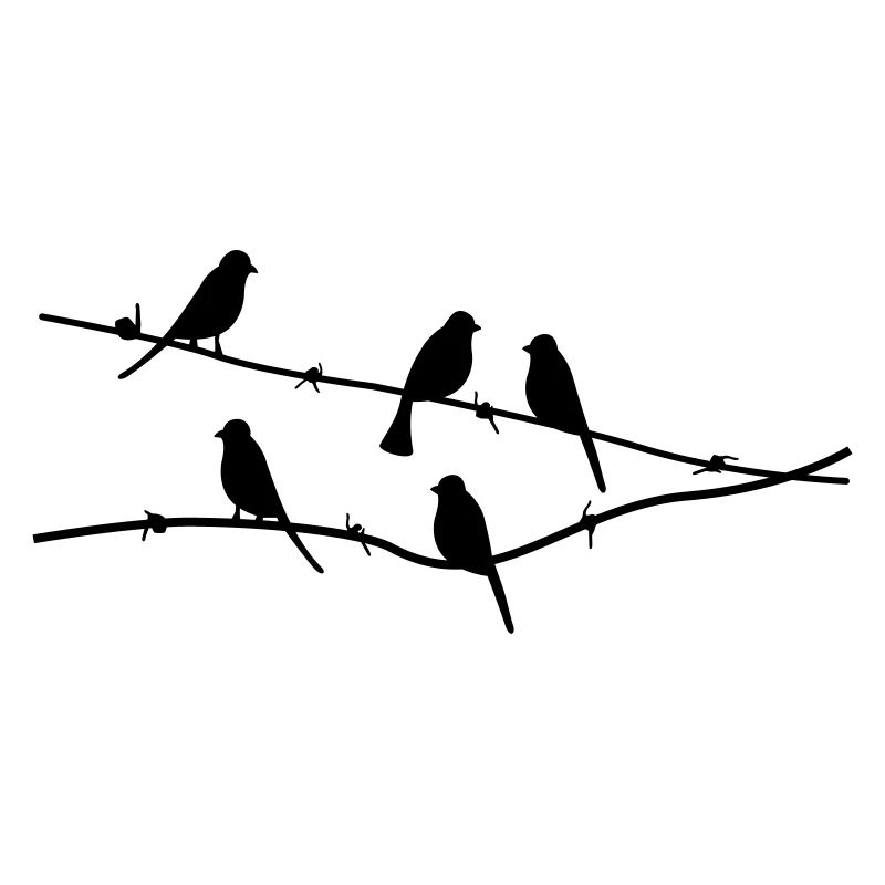 oiseaux