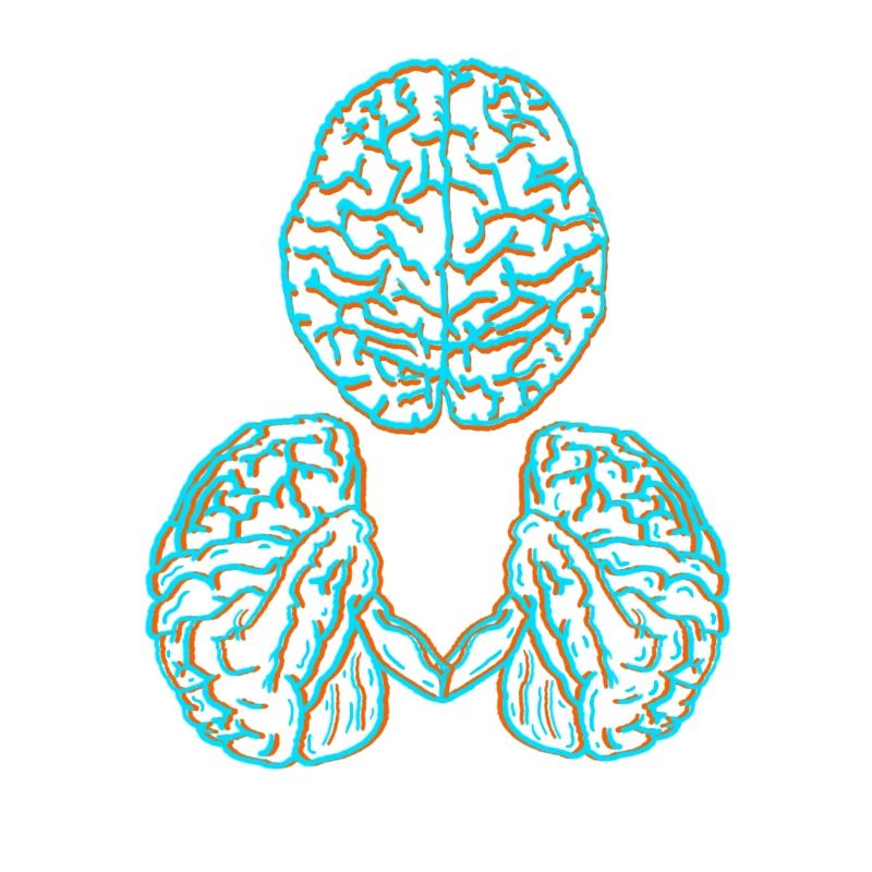 Brain