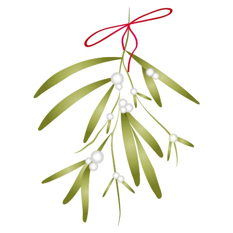 Gui et baies blanches illustrés de manière festive