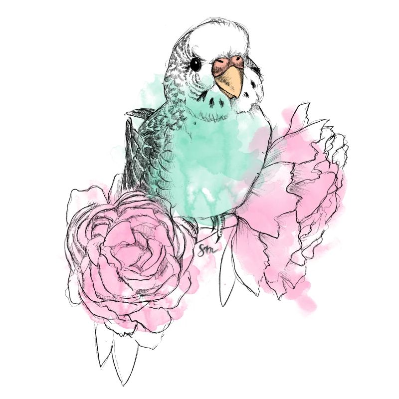 Budgerigars and peonies