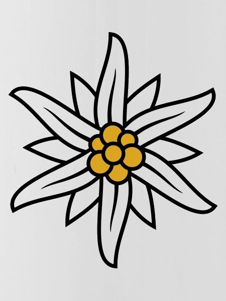 Edelweiss Bergblume logo