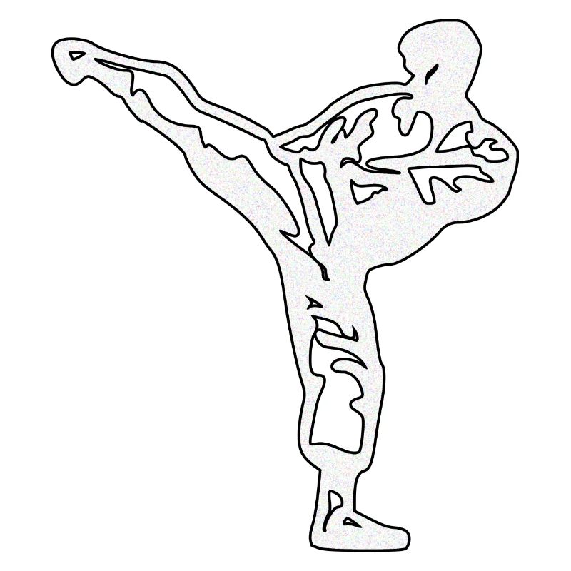 karate silber