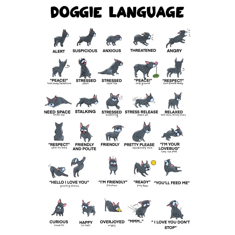 Doggie Language