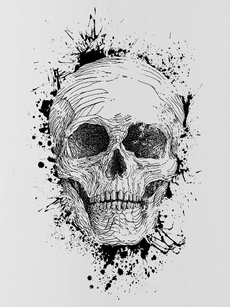 Skull