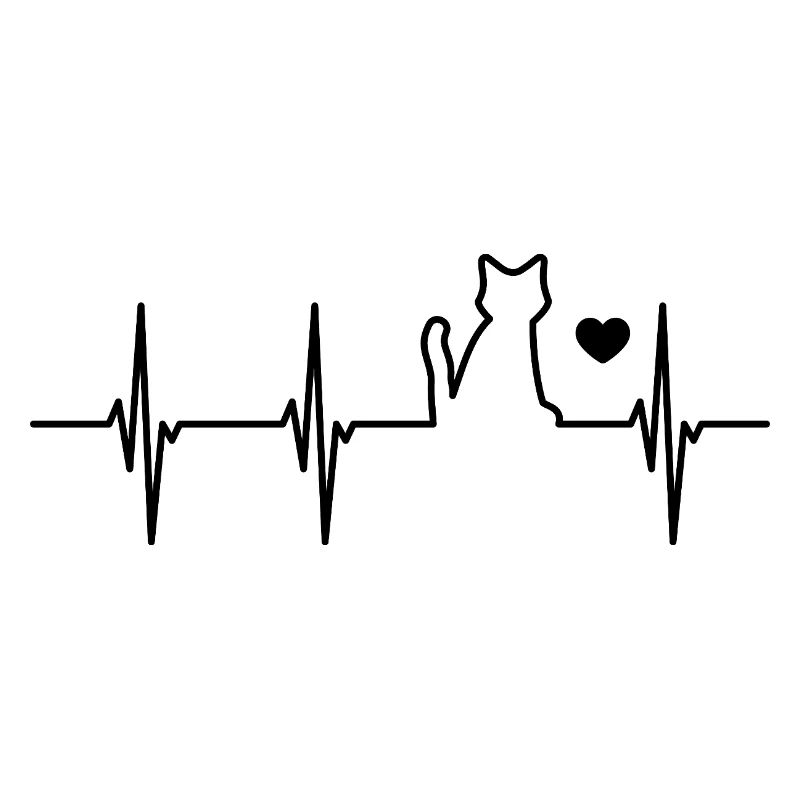 battements de cœur de chat