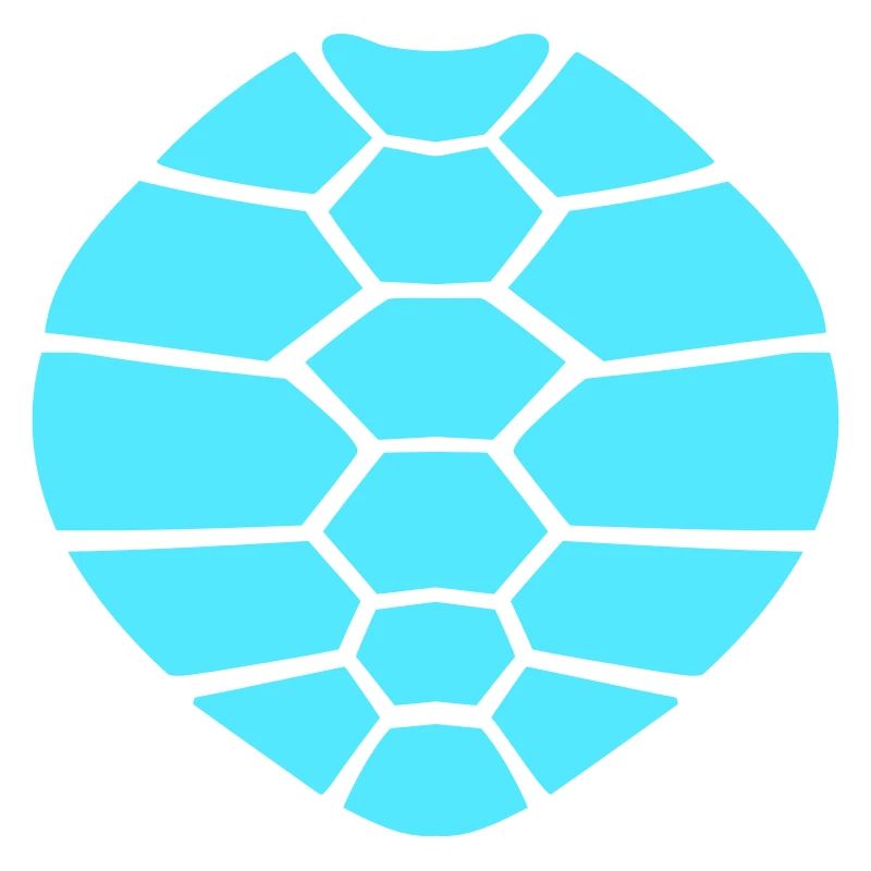 Turtle shell pattern turtle icon cool