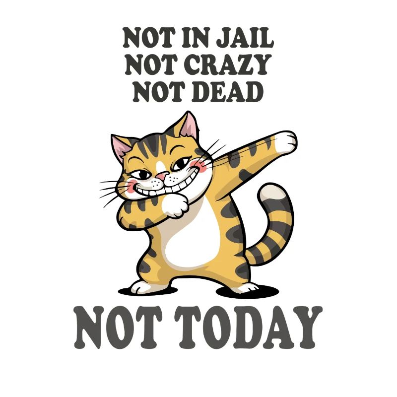 Not Today Funny Cat Sarcasm Design