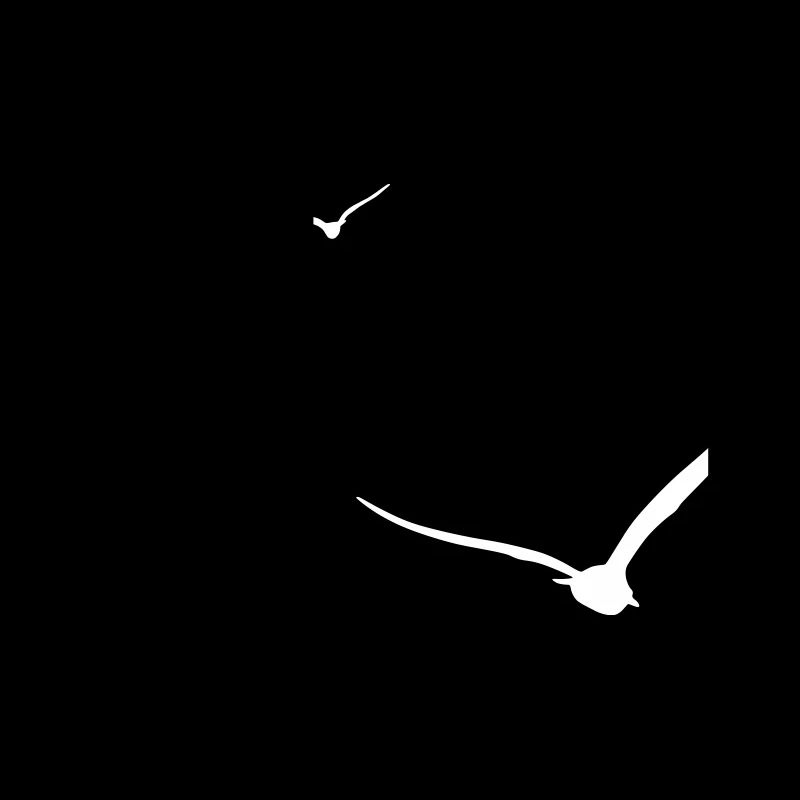 Three Seagulls | Seagull | Colors adjustable