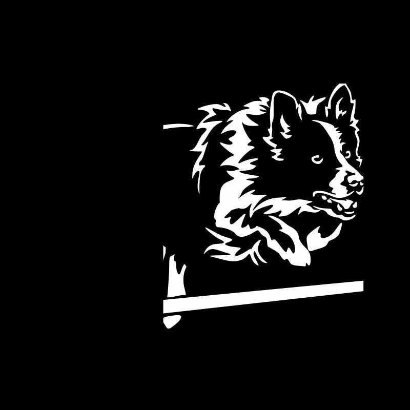 Border Collie "Black Edition"