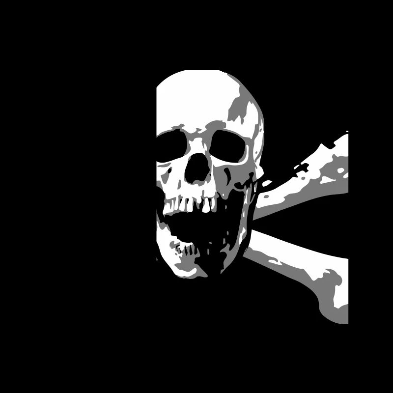 Skull & Bones