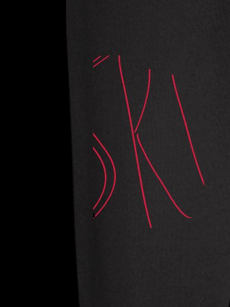Ski