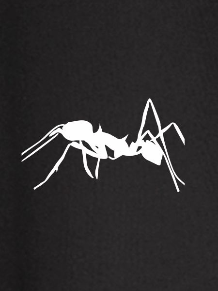 Ant