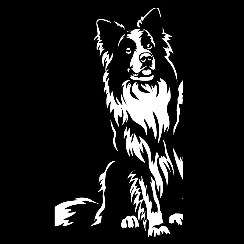 Border Collie "Black Edition"