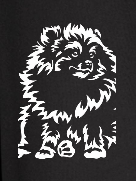 Dwarf Spitz "Black Edition"
