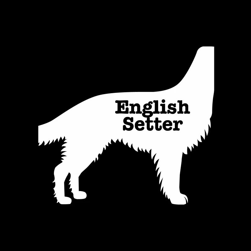 English Setter