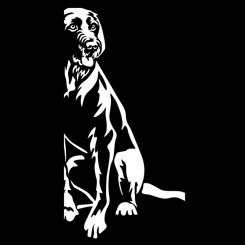 Magyar Vizsla « Édition Noire »