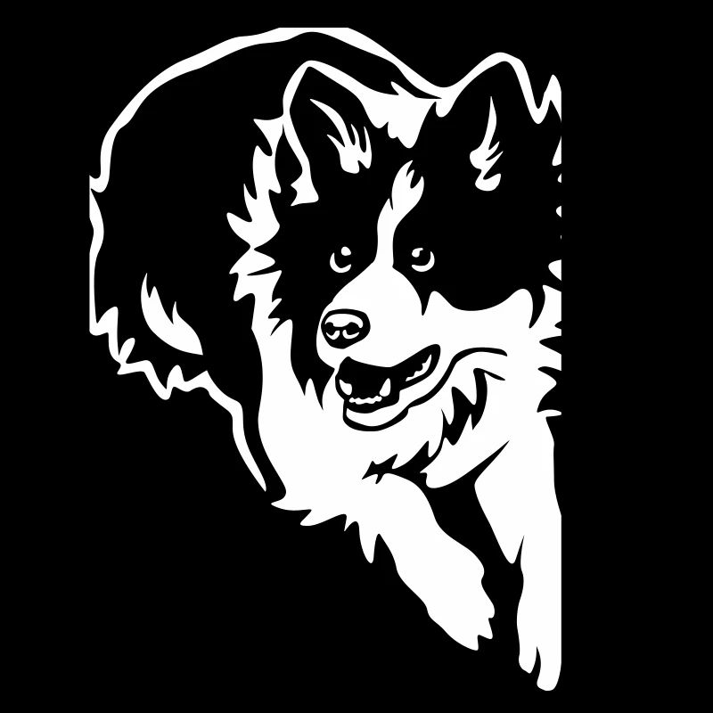 Border Collie "Black Edition"