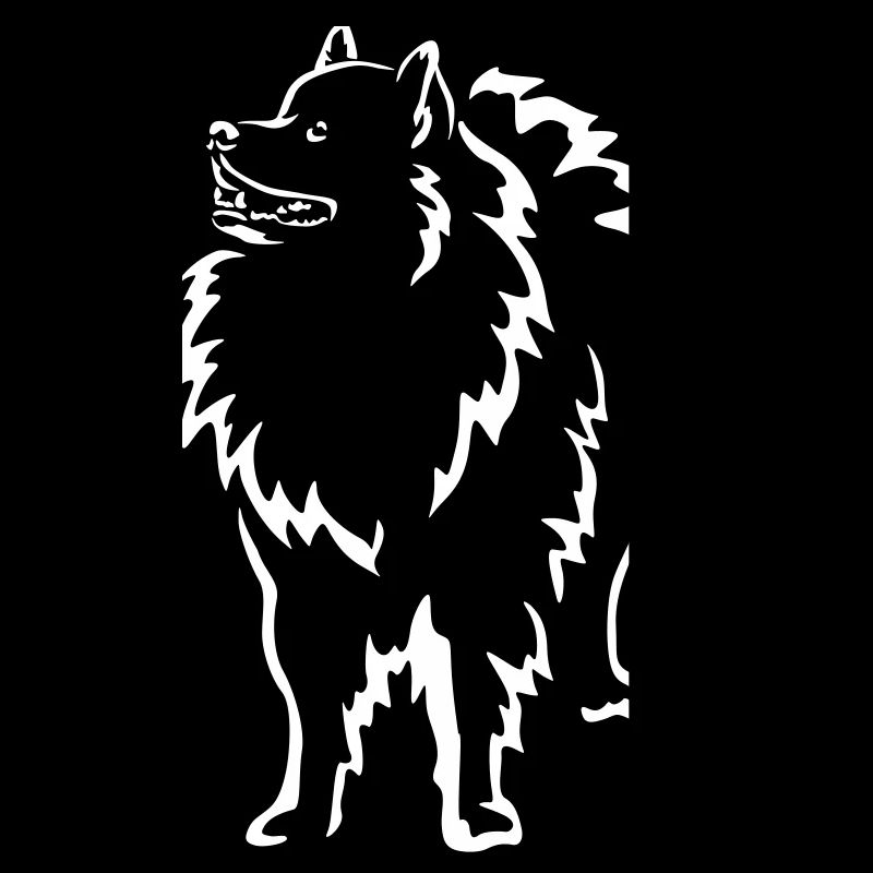 Wolfsspitz « Édition Noire »