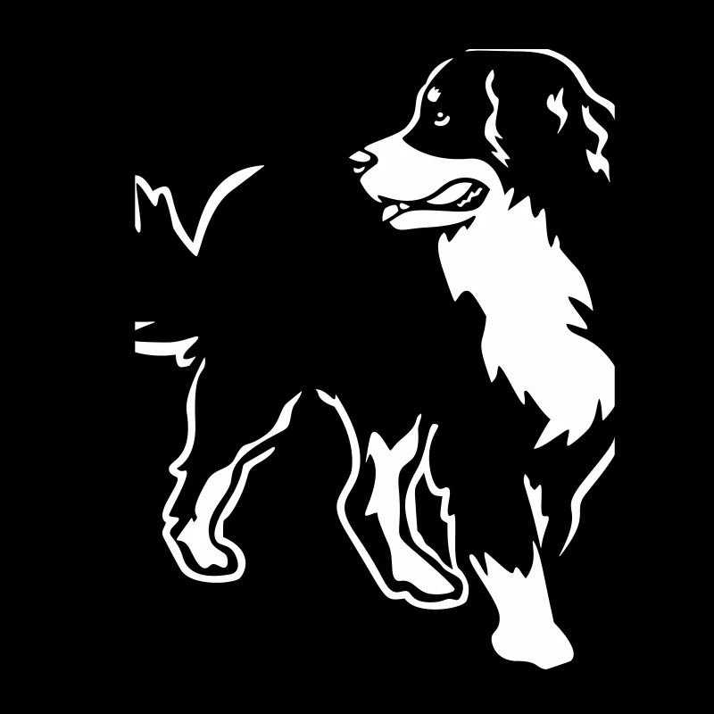 Bouvier bernois "Black Edition"