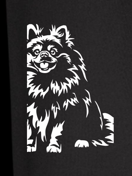 Pomeranian "Black Edition"