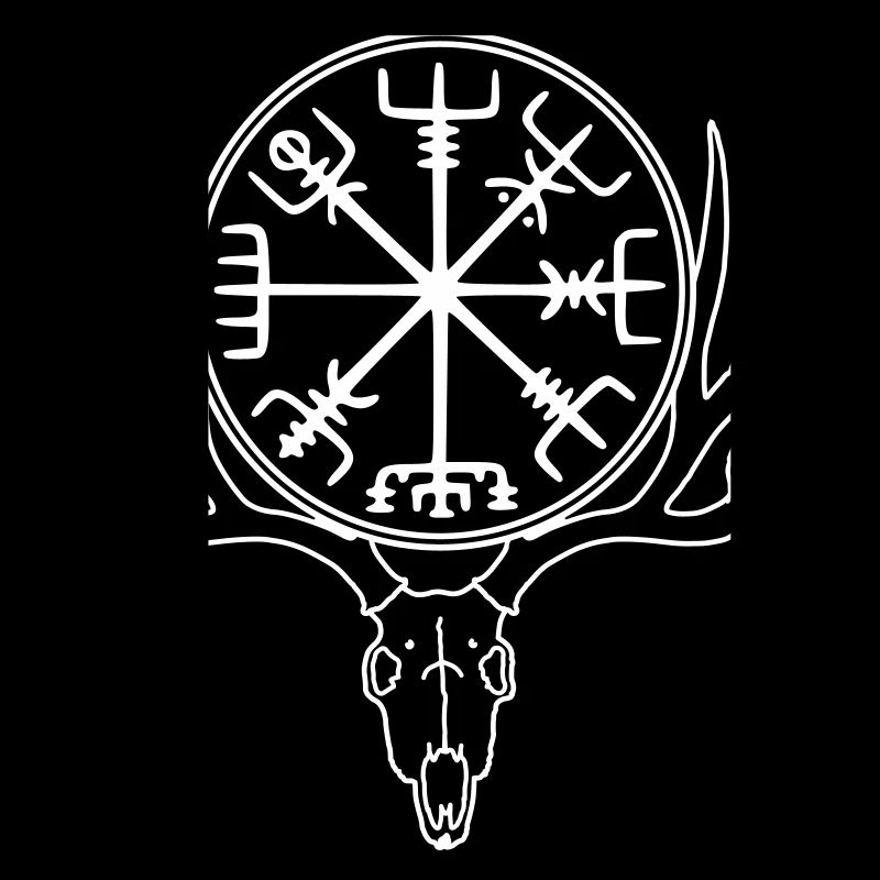 Vegvisir skull, Viking compass