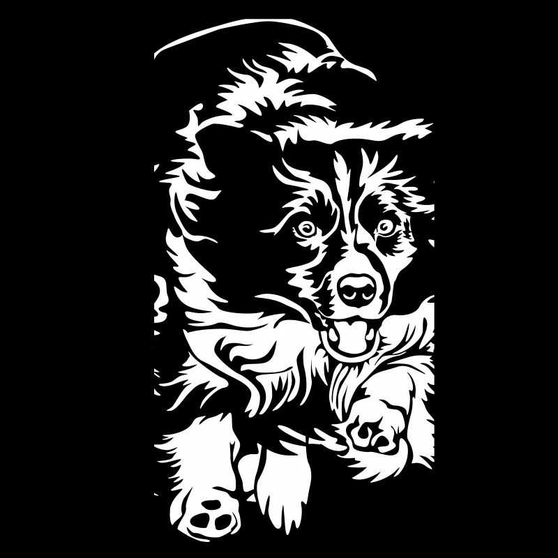 Border Collie "Black Edition"