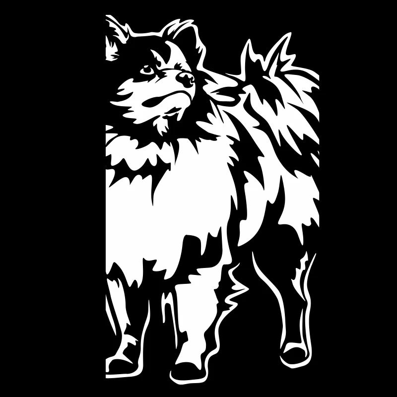 Spitz "Black Edition"