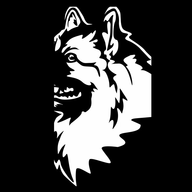 Tête Wolfsspitz « Black Edition »