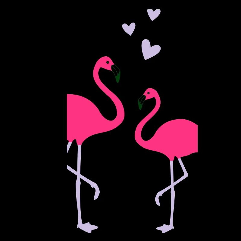 Flamingos Love Duo