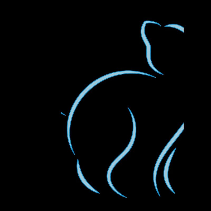Katze