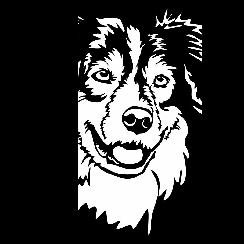 Tête de Shepherd australien « Black Edition »