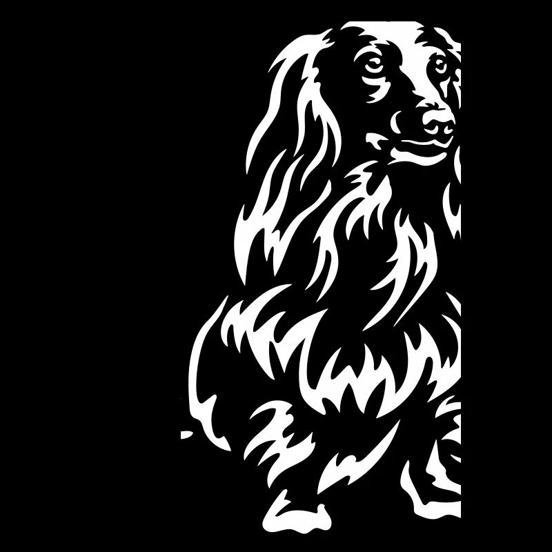 Dachshund "Black Edition"