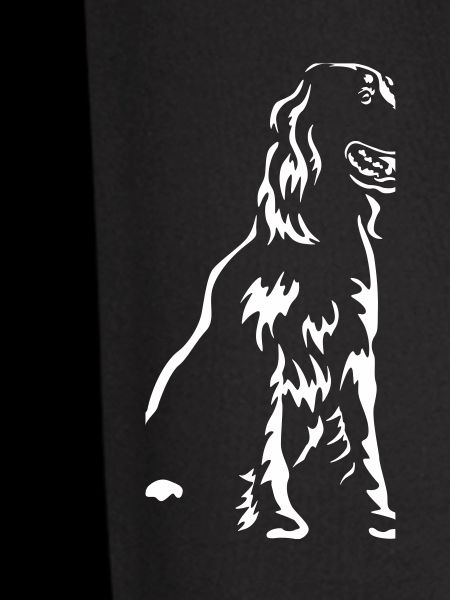 Gordon Setter "Black Edition"