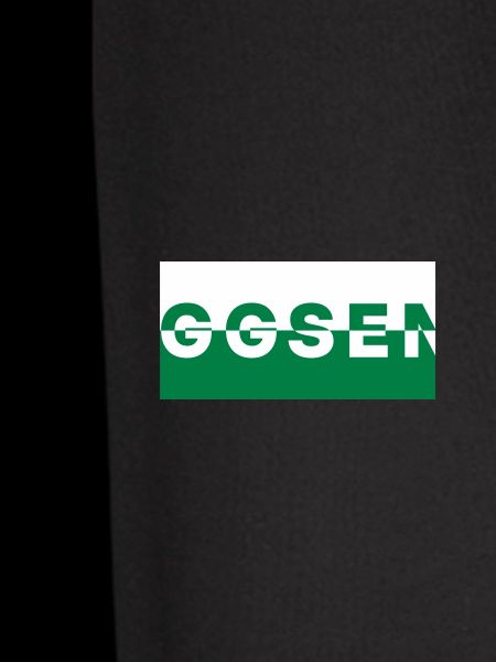 Saggsen / Saxony