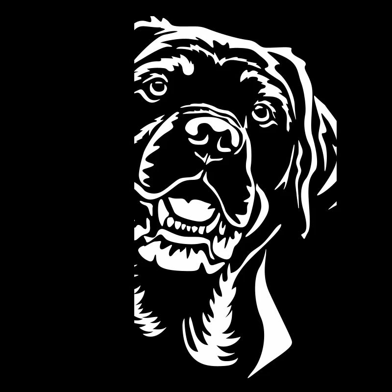 Labrador Head "Black Edition"