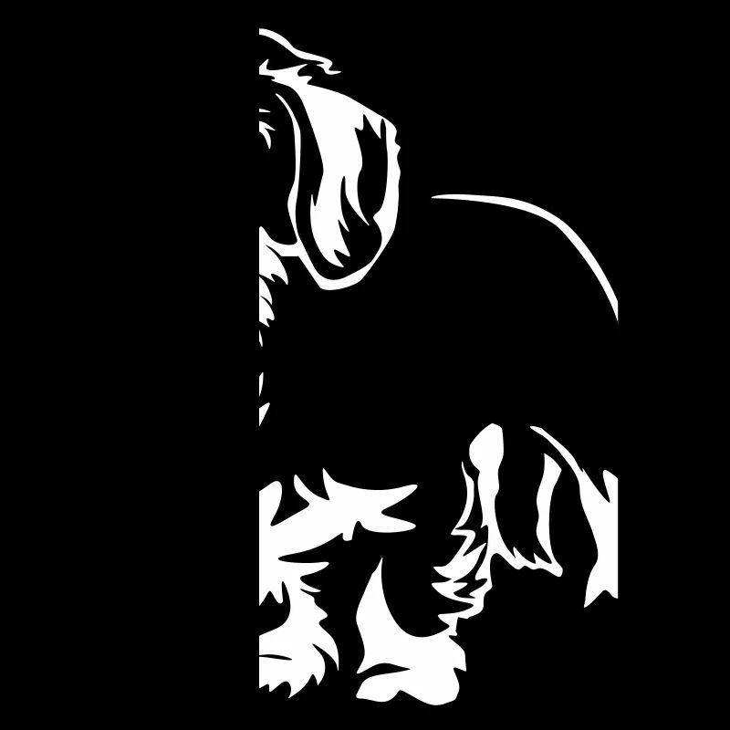 Dachshund "Black Edition"