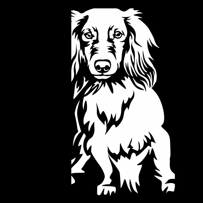 Dachshund "Black Edition"