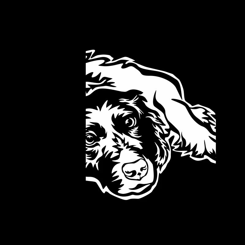 Munsterländer "Black Edition"