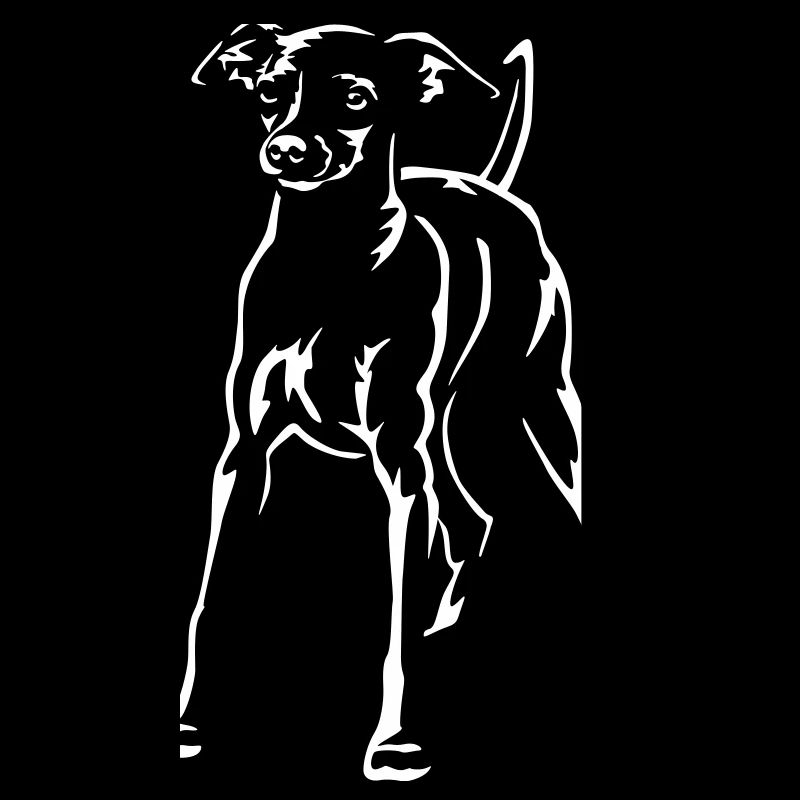 Zwergpinscher "Black Edition"