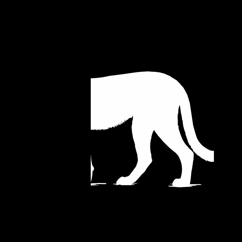 Guépard