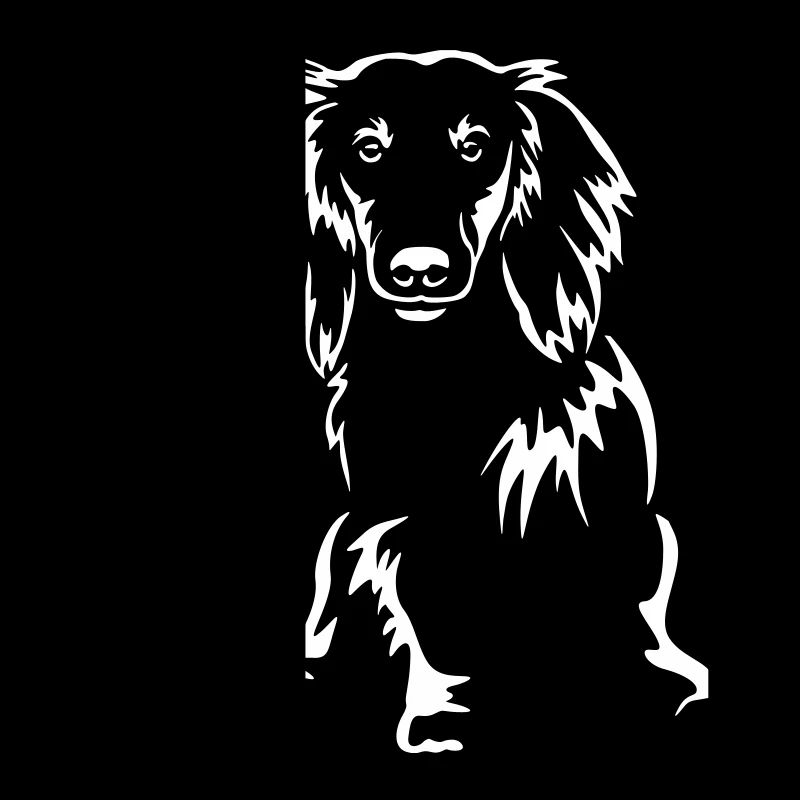 Teckel « Black Edition »