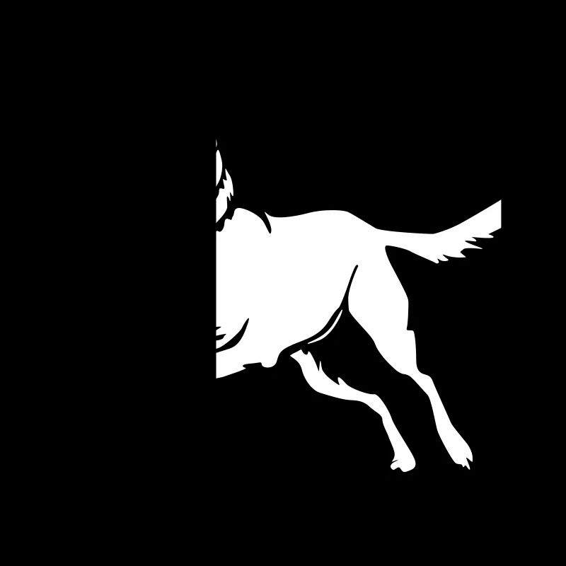Malinois "Black Edition"