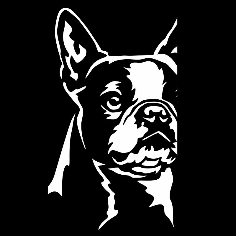 Boston Terrier Kopf "Black Edition"
