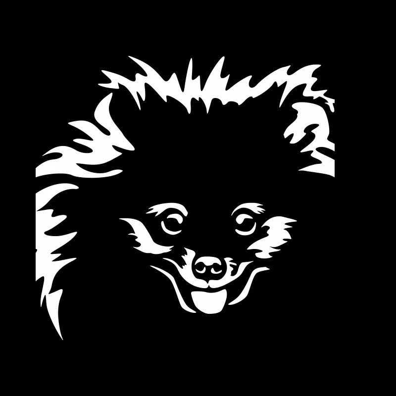 Zwergspitz Kopf "Black Edition"