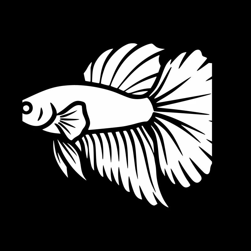 Kampffisch Betta Fisch Aquaristik Vektor