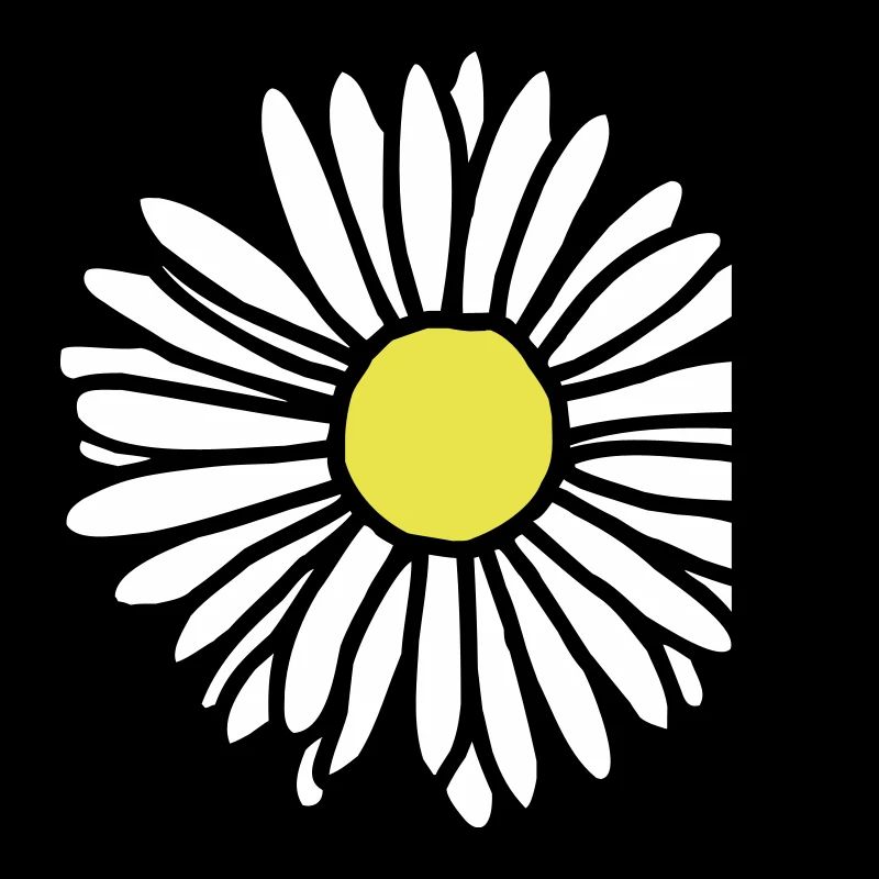 Gänseblümchen zweifarbig