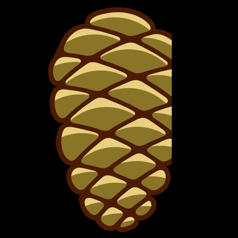 Un cône de pin