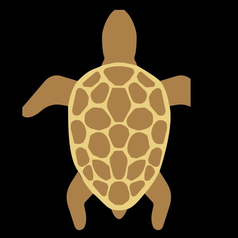 sea turtle
